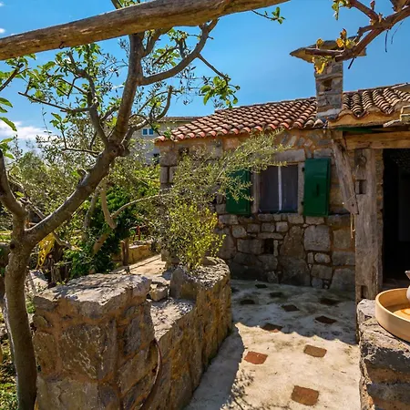 Cozy In With Kitchen Holiday home